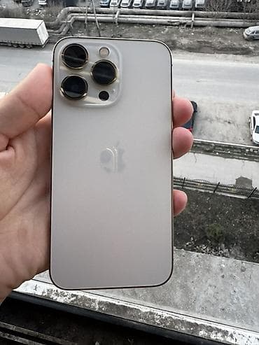 сканья: IPhone 13 Pro, Золотой, 75 % — 1