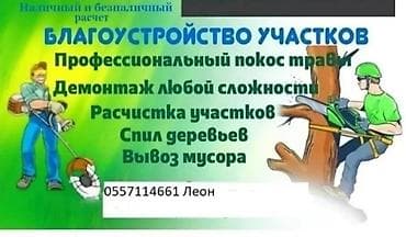 Уборка помещений: Уборка территории, Уборка двора и сада — 2