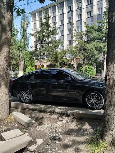 дверь kia k5: Kia K5: 2020 г., 2 л, Автомат, Газ, Седан — 5