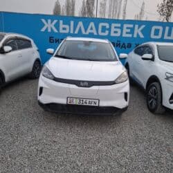 электра мото: JMEV EX5: 2021 г., Робот, Электромобиль, Кроссовер — 4