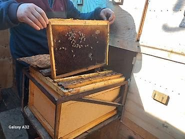 продам в связи с переездом: Прицеп, Special trailer — 4