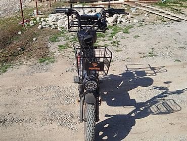 dio 27: Электроскутер-грузовик PENTRO (утилитарный городской/дачный) запас — 2