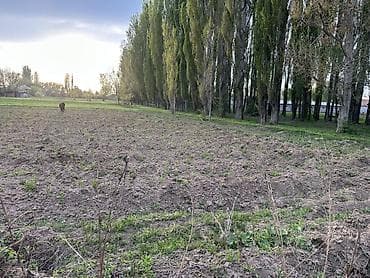 кочкор ата недвижимость: 10 соток, Айыл чарба үчүн, Кызыл китеп, Сатып алуу-сатуу келишими — 4