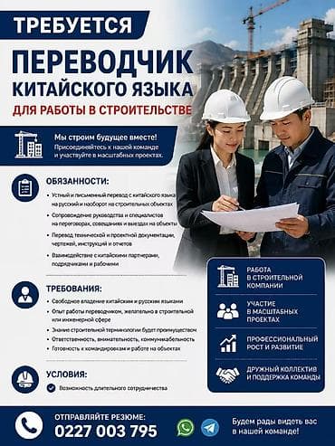 продажа эксковатор: Переводчик — 1