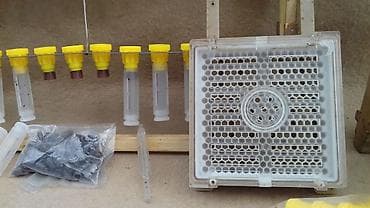 купить пчелопакет: Джентерский сот - позволяет пчеловоду получить маток высокого качества — 1