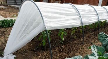 Парник тоннельного типа. Парник предназначен для выращивания