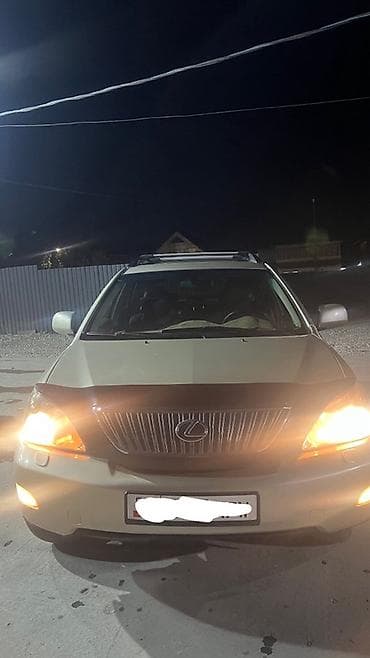 Lexus RX: 2004 г., 3.3 л, Автомат, Газ, Кроссовер
