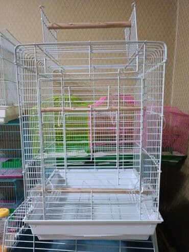 купить коровы молочной породы: Клетки для птиц . Так же есть попугаи разных пород корм и т д — 19
