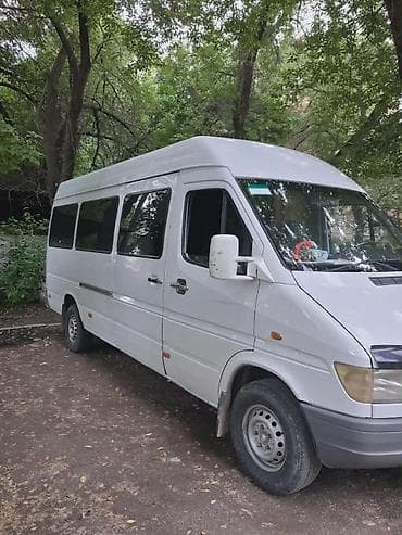 space runner: Mercedes-Benz Спринтер: 1999 г., 2.9 л, Механика, Дизель, Бус — 3