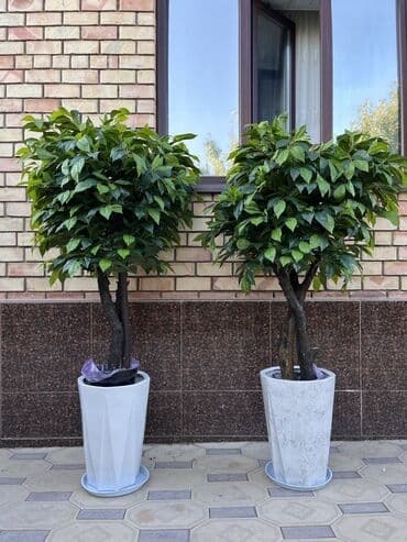 шкаф для одежды новый: 🌿 Мы — Mayram Decor KG, ваш надежный партнёр в создании эффектных и — 22