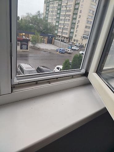 сетка для камаров: Москитная сетка, Другой тип, На заказ — 3
