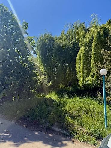 квартирв: 3 комнаты, 200 м², Евроремонт — 6