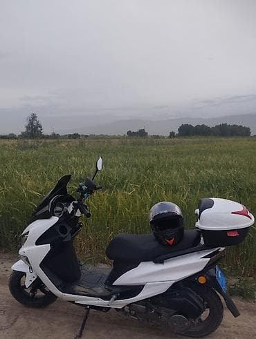 gilera runner: Продаю макси едет бодро вложение пластик,и спидометр пробег 10 — 1