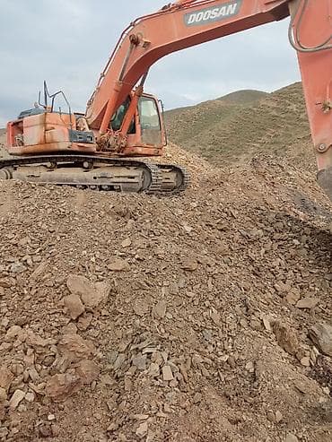 доминатор фреза: Экскаватор, Doosan, 2012 г., Гусеничный — 4