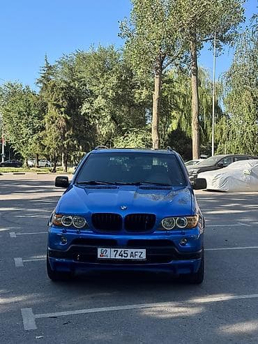 m57 bmw: BMW X5: 2003 г., 4.6 л, Автомат, Бензин, Внедорожник — 3