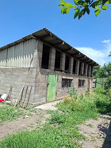 бакай ата ж м: Продаётся дом. г Кара Балта ул чапаева 2 а. В пешей доступности школа — 8