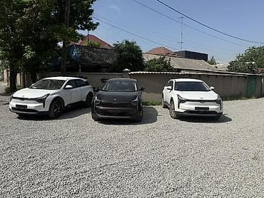 BYD: BYD : 2023 г., Электромобиль, Кроссовер — 2