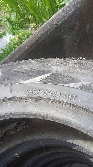 111: Шины 265 / 50 / R 20, Зимняя шипованная, Комплект, Внедорожные (АТ/МТ), Toyo — 2