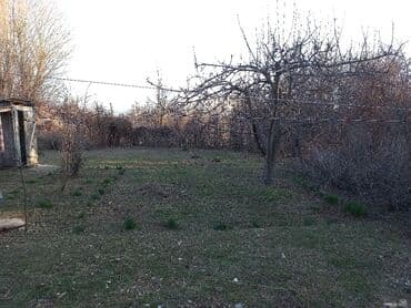 дом с землёй: 65 соток, Курулуш — 6