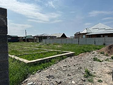 старый талчок: 5 соток, Красная книга — 4