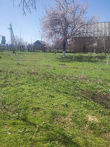 гостевой дом каракол: 6 соток, Для сельского хозяйства — 1