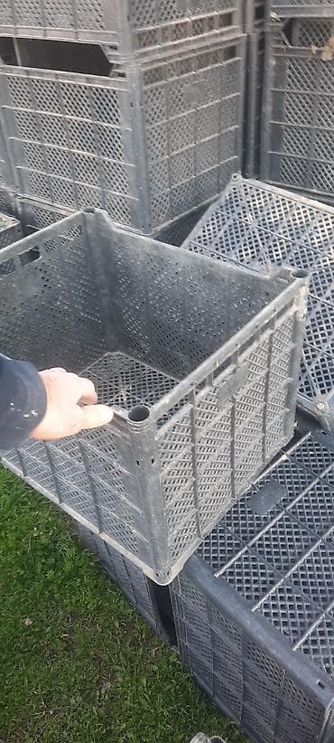 часы с кукушкой ссср: Пластиковый Ящик, Б/у — 1