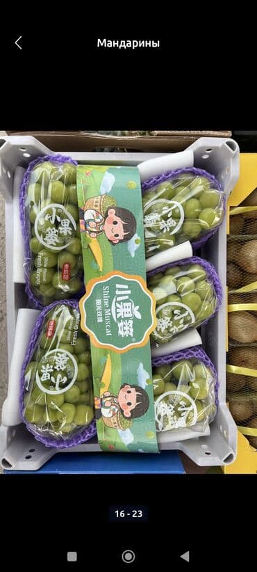 семена тюльпана: Мандарины Оптом — 6