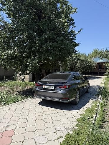 es 200: Lexus ES: 2024 г., Автомат, Седан — 3