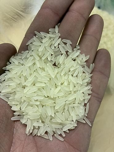 Мёд: Великолепный Ташкентский рис сорта «ЛАЗЕР» Идеально подходит для плова — 2