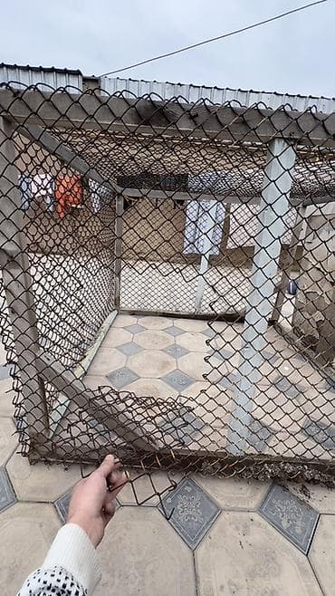 Бетон евро тосмолор: Металл тосмо, Башка материал, Жасалгасыз — 9