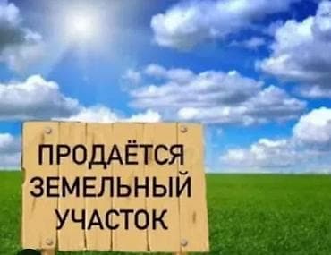 Жер тилкелери: 8 соток, Курулуш, Кызыл китеп — 1