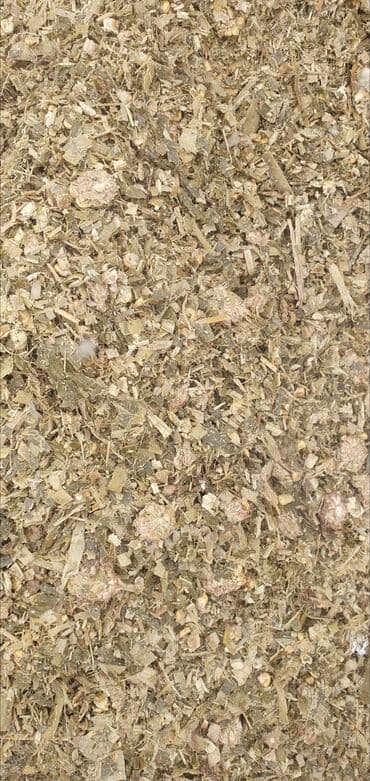 продажа домашних животных: Силос Даныменен Свежий. На яме Адрес Село Сокулук 7сом 1кг от центра — 3