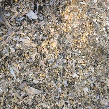 продажа щенков немецкой овчарки с документами в бишкеке: Силос с доставкой — 1