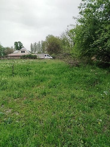 уч: 10 соток, Курулуш, Кызыл китеп — 4