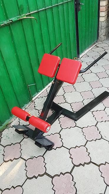 спартифка бу: Гиперэкстензия. местного производства — 1