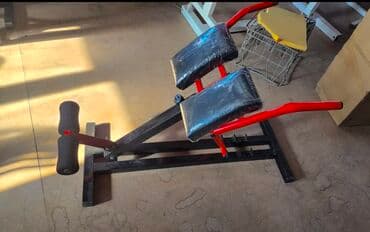 турник брусья шведская стенка для дома: Силовой тренажер, Гиперэкстензия, Для груди, Для ног, Для плеч, Новый, Самовывоз — 1