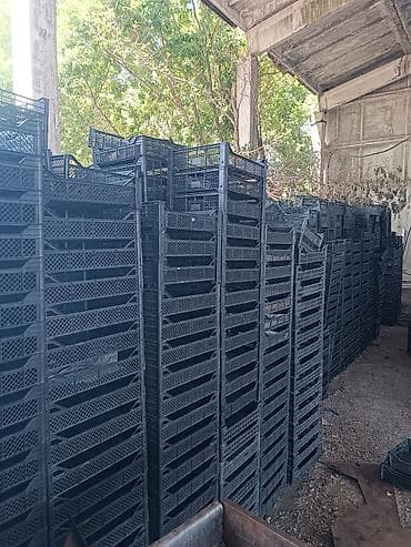 Б/У пластиковые ящики для овощей, фруктов и ягод. персик, абрикос и at lalafo.kg Б/У пластиковые ящики для овощей, фруктов и ягод. персик, абрикос и