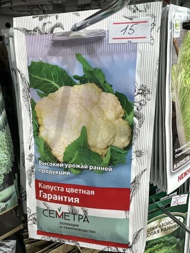 продаю овощи: Уруктар жашылчалардын: Капуста, Сабиз, Калемпирлер, Өзү алып кетүү, Акылуу жеткирүү — 15