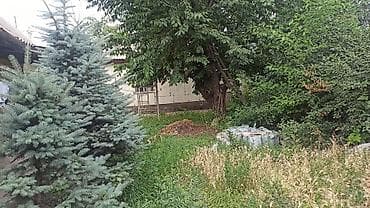 4: 🏡 Срочно продаётся дом в ж/м Ала-Тоо-1, Бишкек! 📐 120 м² | 🌳 5 соток — 1