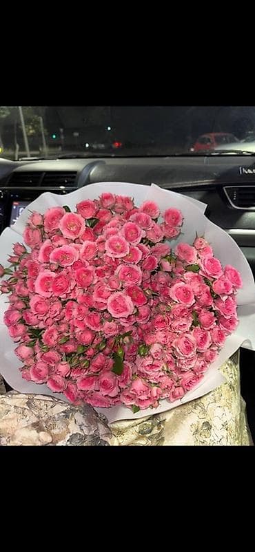 софлор: София, Оптом!!!
Пачками, пачка 2000 сом, в пачке 30+головок!!! — 3