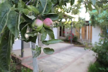 как дешево отдохнуть на иссык куле: Номер, Чолпон-Ата — 5