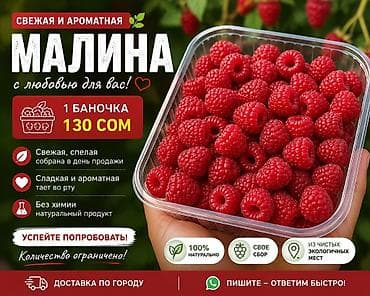 Малина В розницу