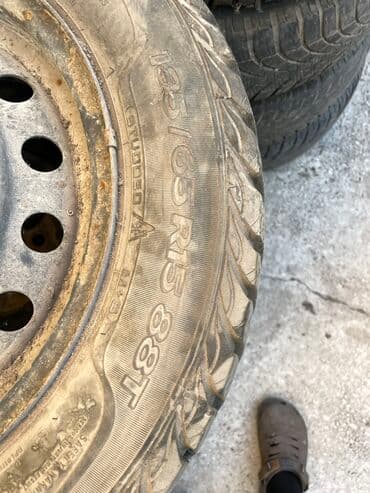 шины на рекс: Шины — 10