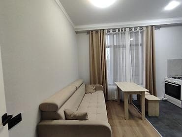 80000: 1 комната, 45 м², Элитка, 9 этаж, Евроремонт — 5