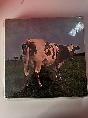 Спорт жана хобби: Виниловые пластинки Pink Floyd — 8