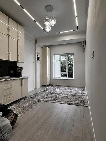 кну: 1 комната, 47 м², Элитка, 2 этаж — 7