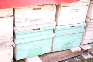 домик для кроликов: Пчелиные ульи из дерева, около 45 комплектов предназначенные для — 3