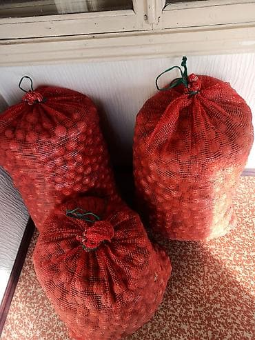 Продукты питания: Продаю орех грецкий урожай 2025 года,хорошо высушенный,два с половиной — 1