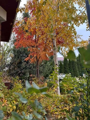 снять домик в горах: Коттедж, КОТТЕДЖ | Радуга West, Кош-Көл, Сауна, Барбекю, Батут — 32