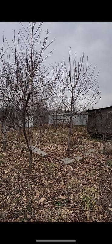 академия наук дача: 5 соток, Договор купли-продажи, Тех паспорт — 4